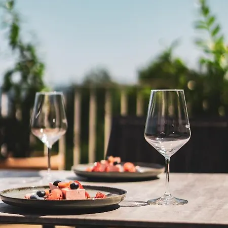 Zur Schoenen Aussicht ホテル トリーア