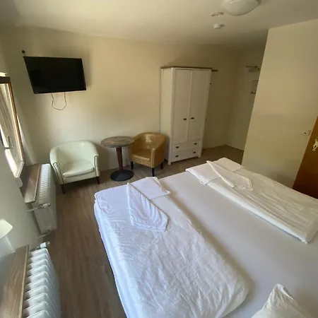 Otel Zur Schoenen Aussicht Trier